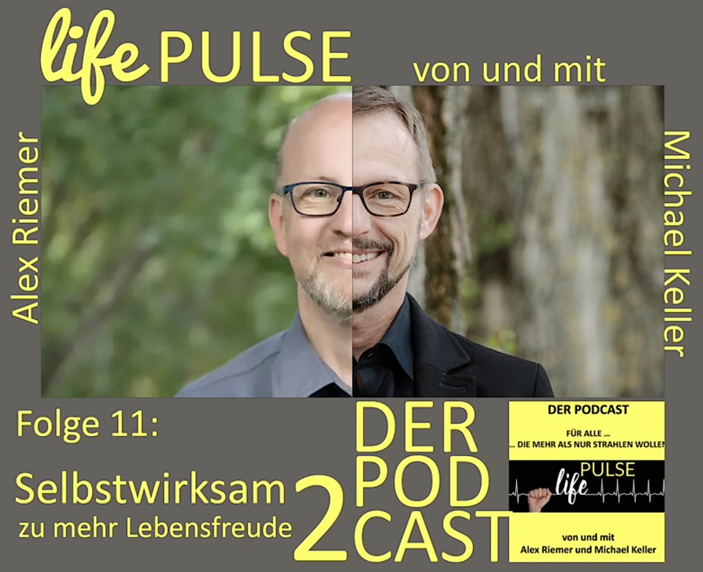 Der Basic Loop der Selbstreflexion: